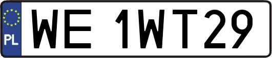 WE1WT29