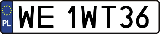 WE1WT36
