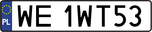 WE1WT53