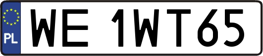 WE1WT65