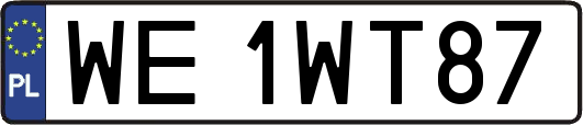 WE1WT87