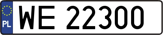 WE22300