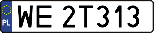 WE2T313
