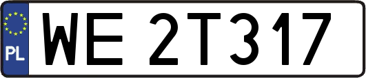 WE2T317