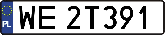 WE2T391