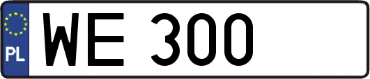 WE300