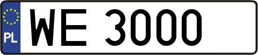 WE3000