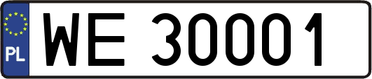 WE30001