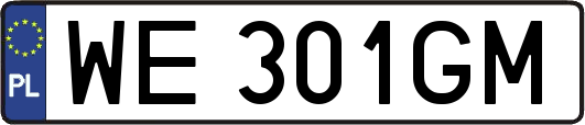 WE301GM