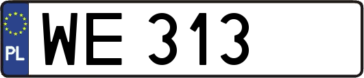 WE313
