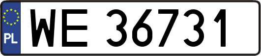 WE36731