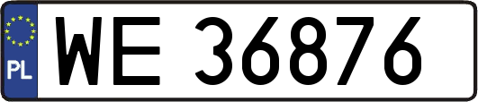 WE36876
