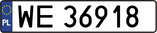 WE36918