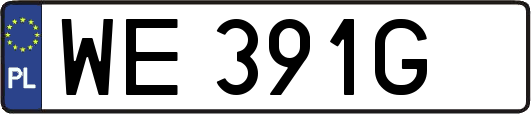 WE391G