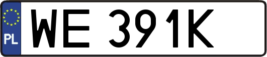 WE391K