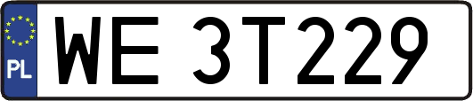 WE3T229