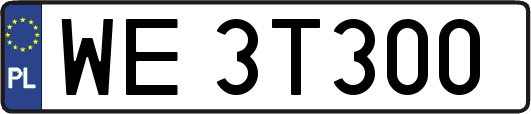 WE3T300