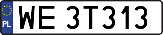 WE3T313