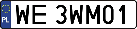 WE3WM01