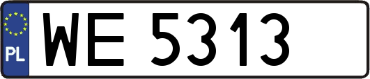 WE5313