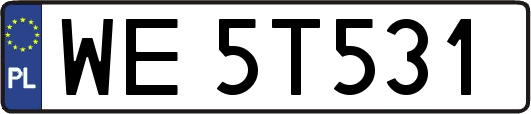 WE5T531