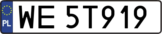 WE5T919