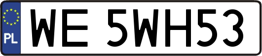 WE5WH53