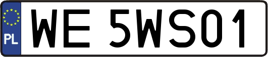 WE5WS01