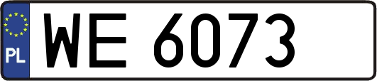 WE6073