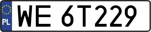 WE6T229