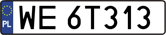 WE6T313