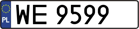 WE9599