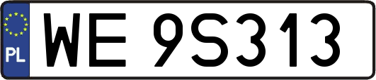 WE9S313