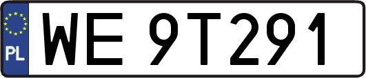 WE9T291