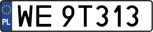 WE9T313