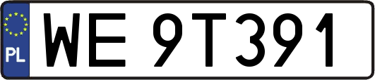 WE9T391