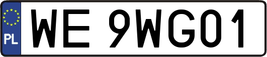 WE9WG01