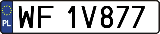WF1V877