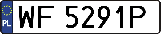 WF5291P
