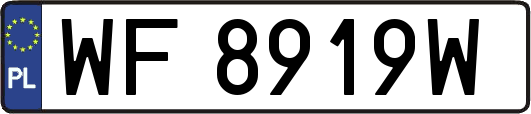 WF8919W