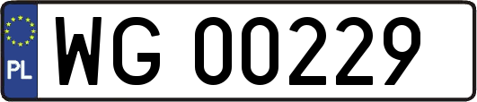 WG00229