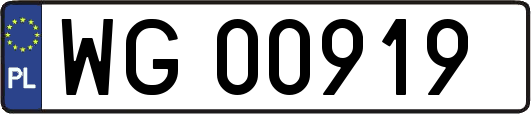 WG00919