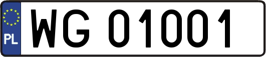 WG01001