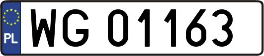WG01163