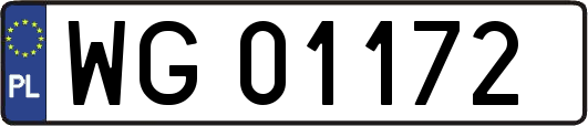 WG01172
