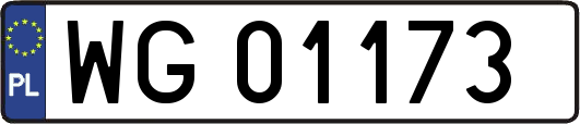 WG01173
