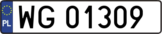 WG01309
