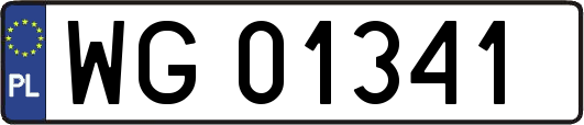 WG01341