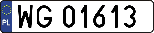 WG01613