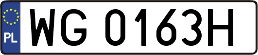 WG0163H